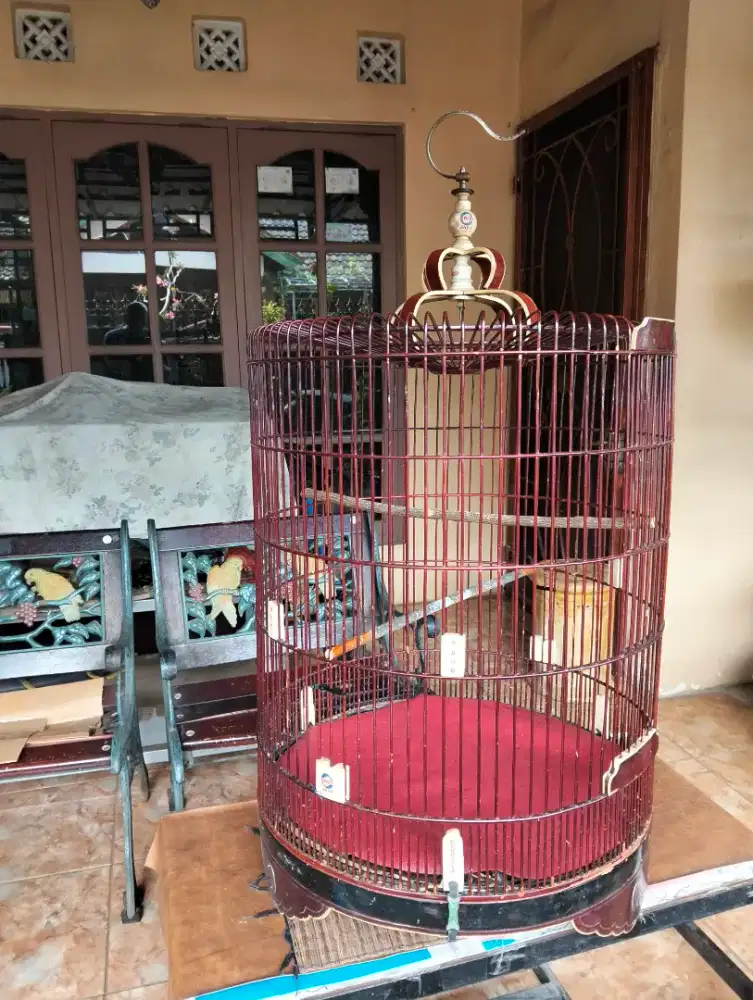 Dijual kandang burung murai