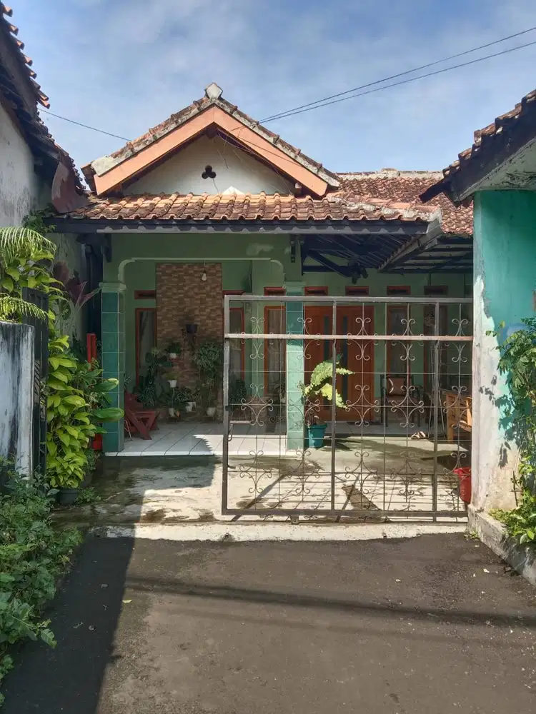 Tanah Luas 280 m² Hanya 400 Juta! Rumah Asri Dekat Jalan Provinsi