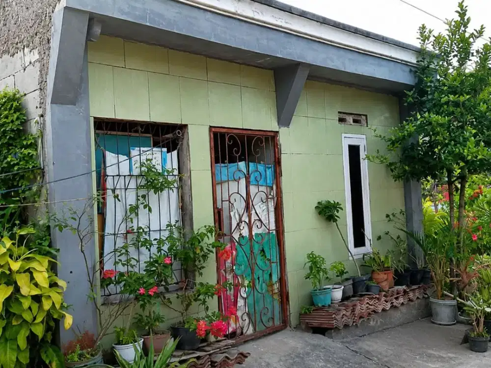 RUMAH SIAP HUNI DI MAJA LEBAK – CUMA 156 JUTA, SUDAH SHM!