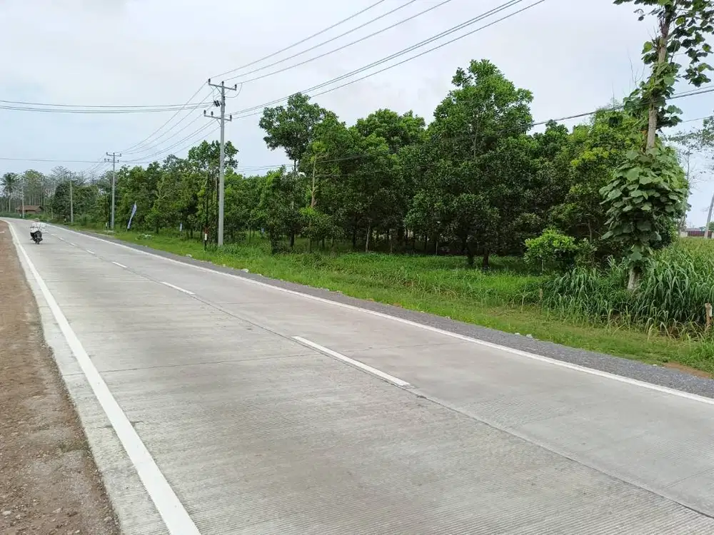 TANAH JALUR DUA KORPRI ITERA DIPINGGIR JALAN UTAMA JUAL MURAH