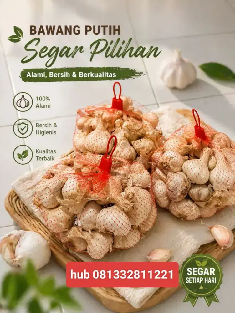Bawang putih Kating / Sinco kualitas super