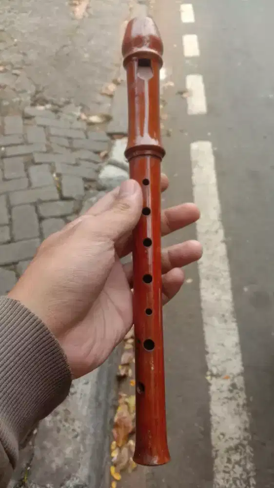 Scheinder Sonata Recorder