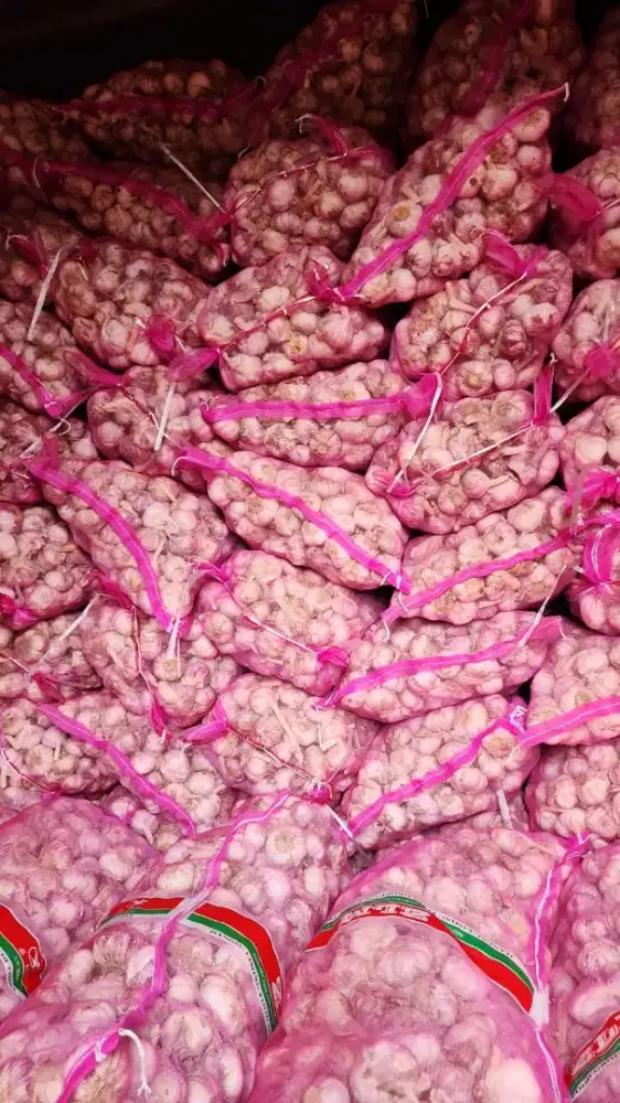 Importir bawang putih melayani partai besar