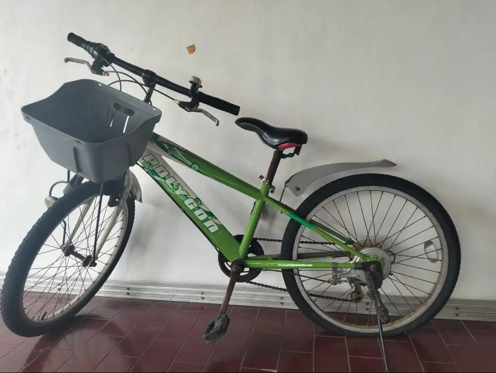 sepeda polygon bekas