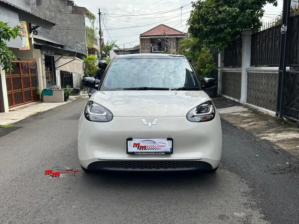 WULING BINGUO EV LITE RANGE 333 KM AT 2025 Warna Coklat Muda