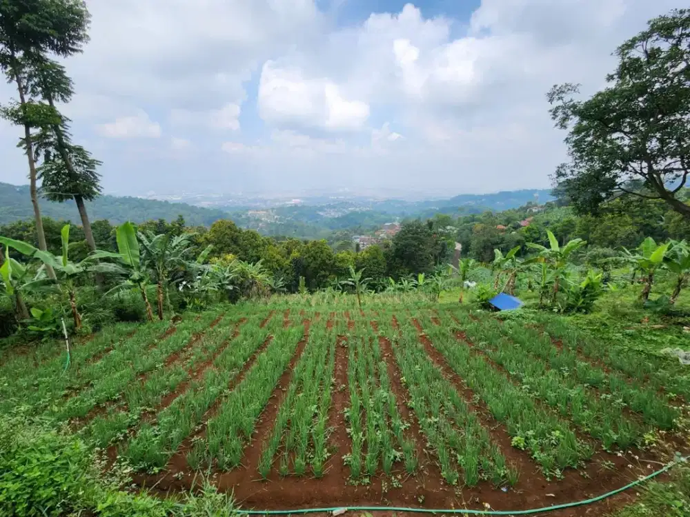 Dijual Tanah murah Sindanglaya viewnya bagus kota bandung