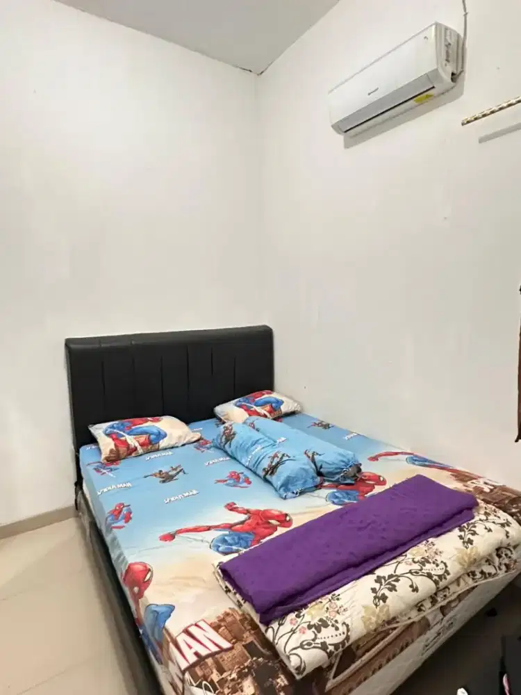 SpringBed Serenity Elite Plus Divan