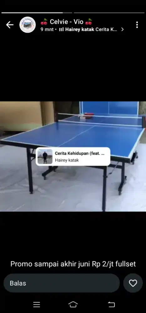 Tenis meja baru