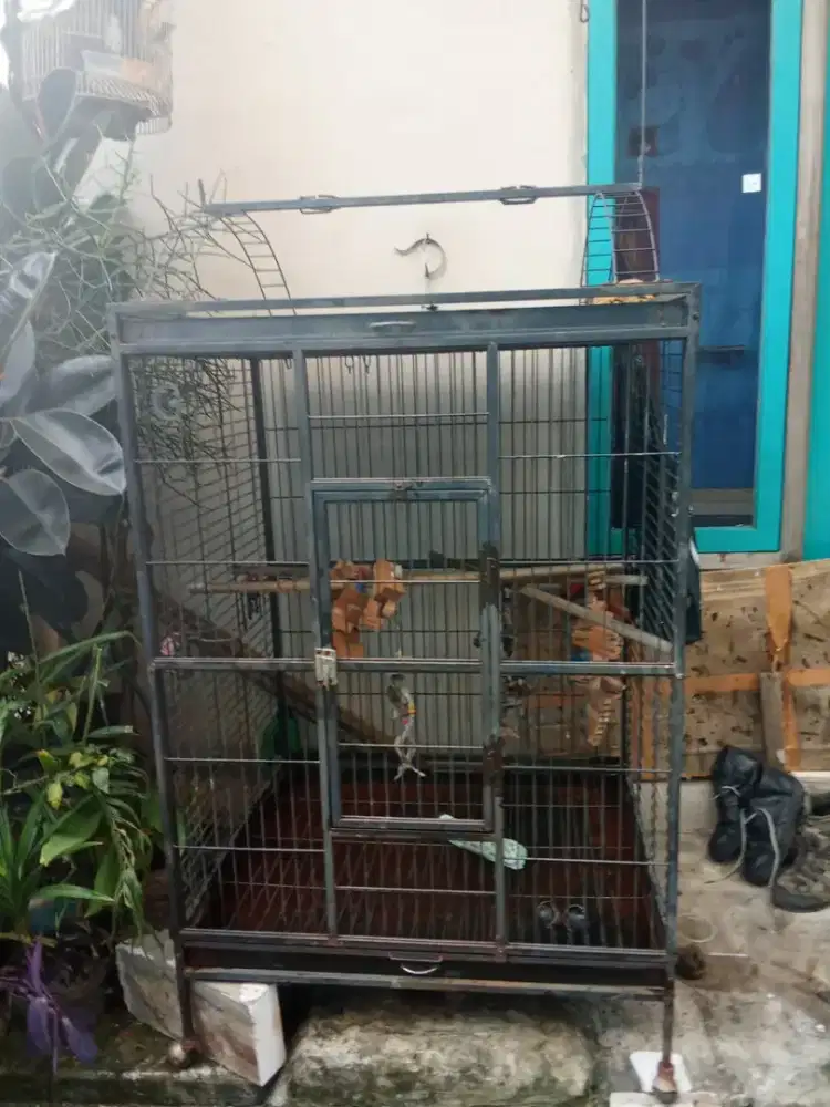 Kandang pecinta hobby...