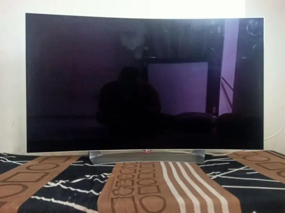 Tv LG 55 inc oled  minus bergaris dan mati