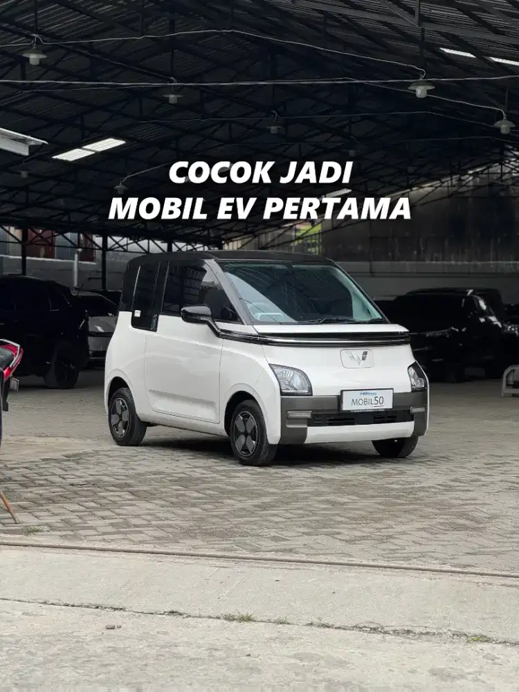 (DP 31 JT) WULING AIR EV 200 2022/2023