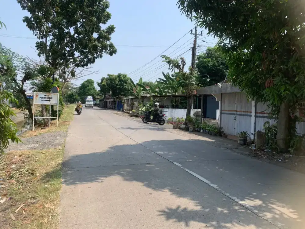 tanah murah pegandon Kendal