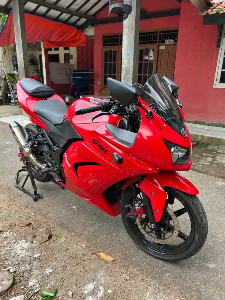 Ninja karbu 250