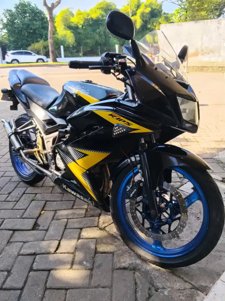 Kawasaki ninja rr new 2014