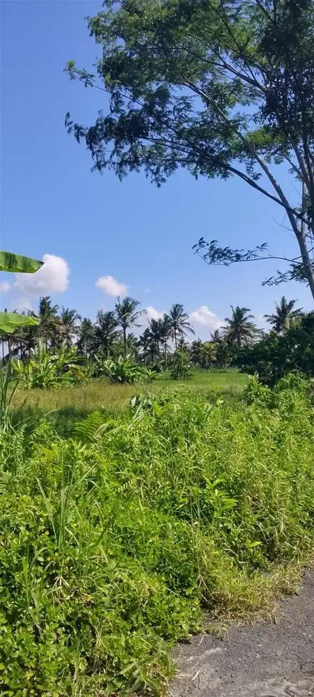 Tanah kosong siap bangun