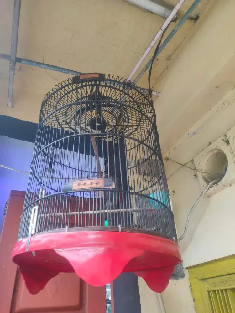 Sangkar bulat no 1