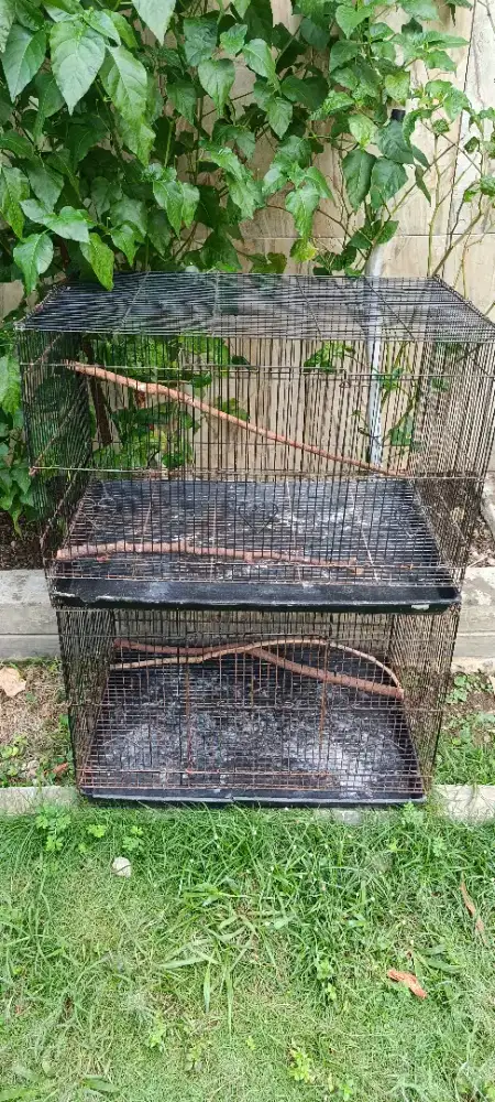 Jual kandang petak