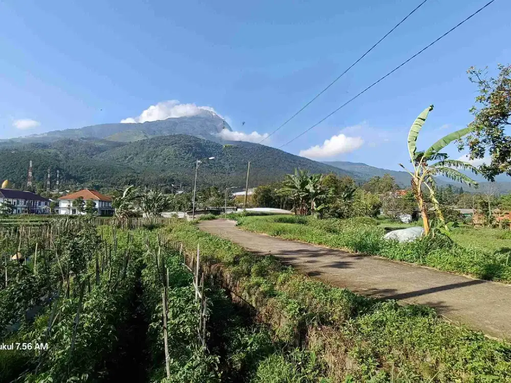 TANAH VILLA VIEW CANTIK SEJUK TINGGI