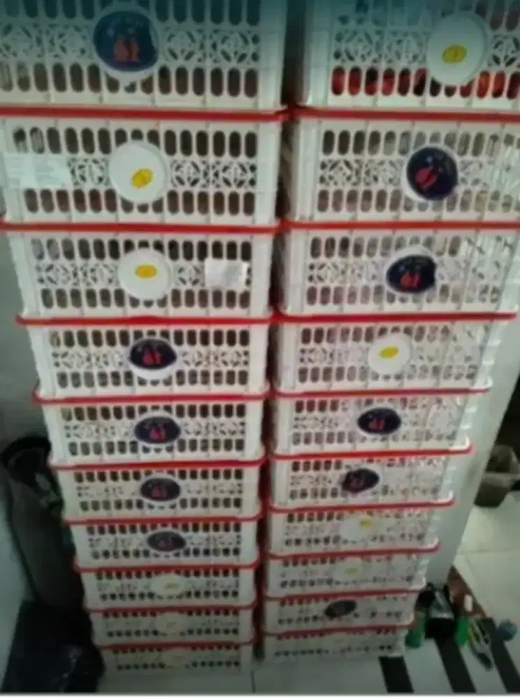 Keranjang bekas buah