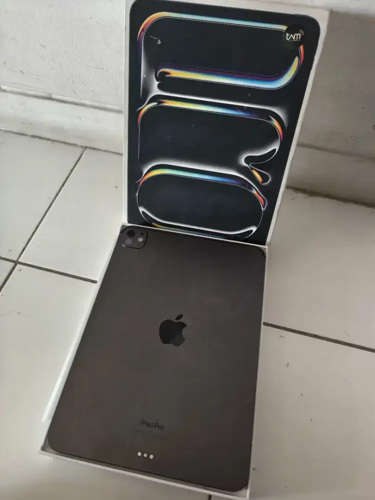 iPad Pro M4 11 256Gb Wifi Only