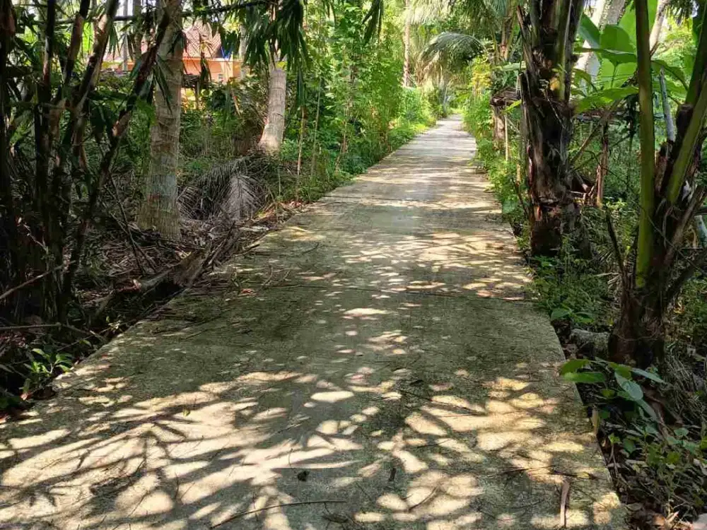 Tanah Murah di Kulwaru Wates Kulon progo