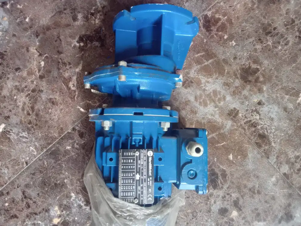 GearMotor Motovario Italia
