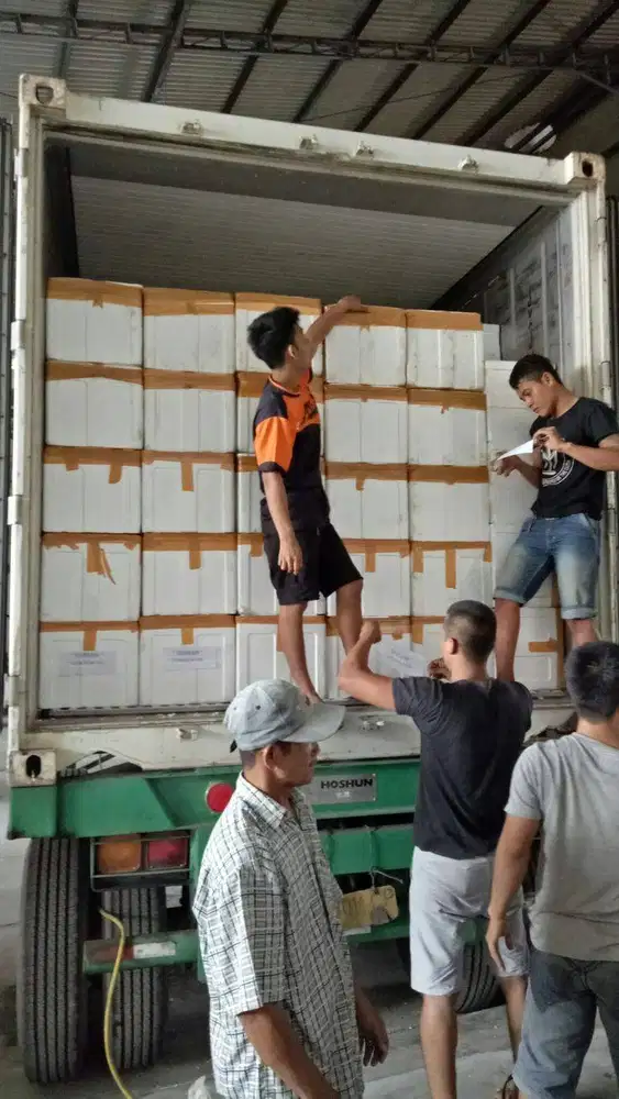 Lowongan Kerja Sortir, Packing & Produksi - Rangkasbitung