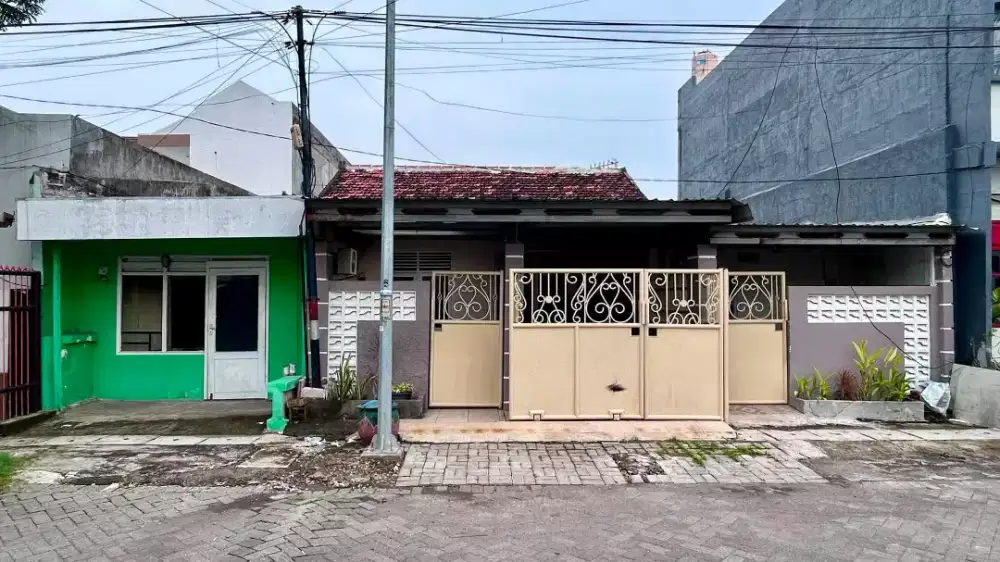 Obral murah ikan trowani krembangan perak surabaya utara
