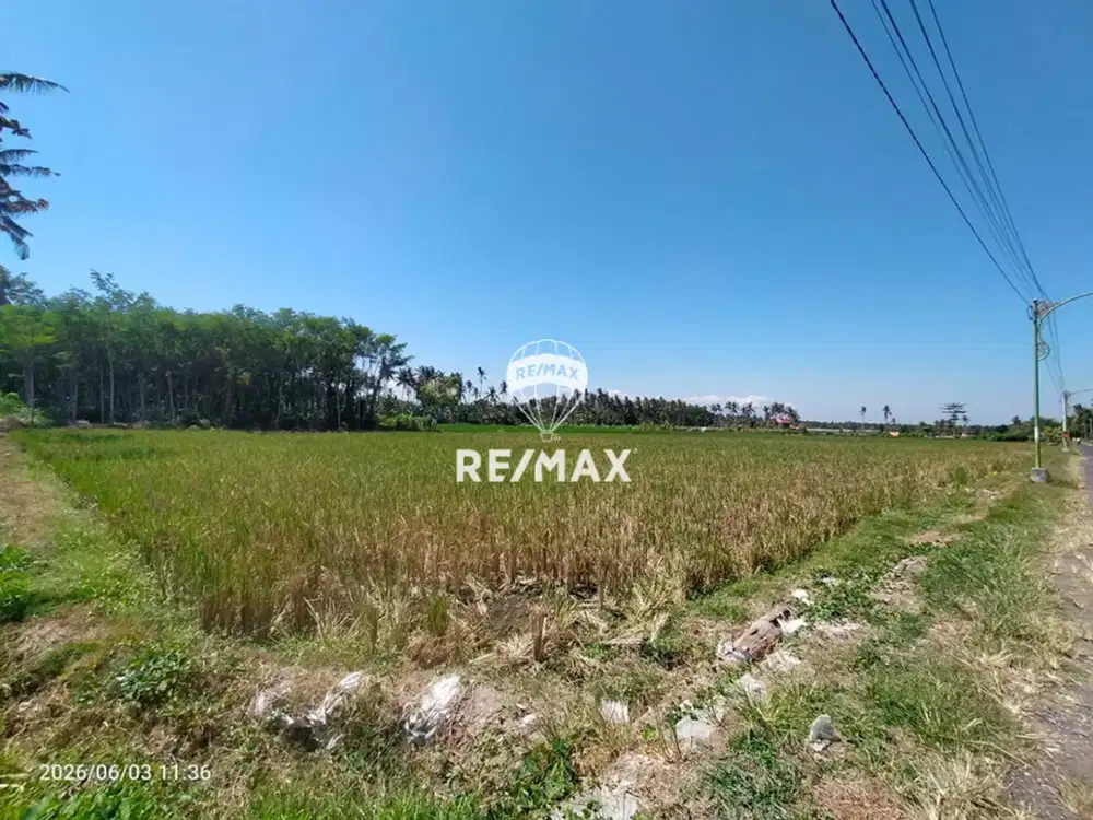 DIJUAL TANAH STRATEGIS TEPI JALAN ASPAL - SOBO BANYUWANGI