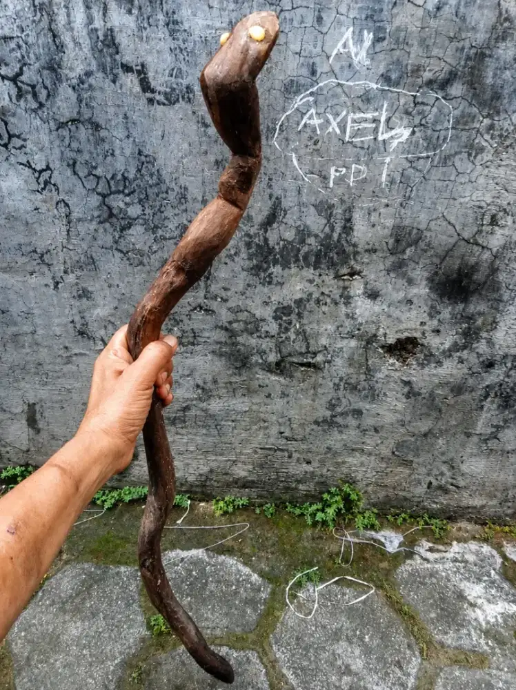 Tongkat cobra dusun