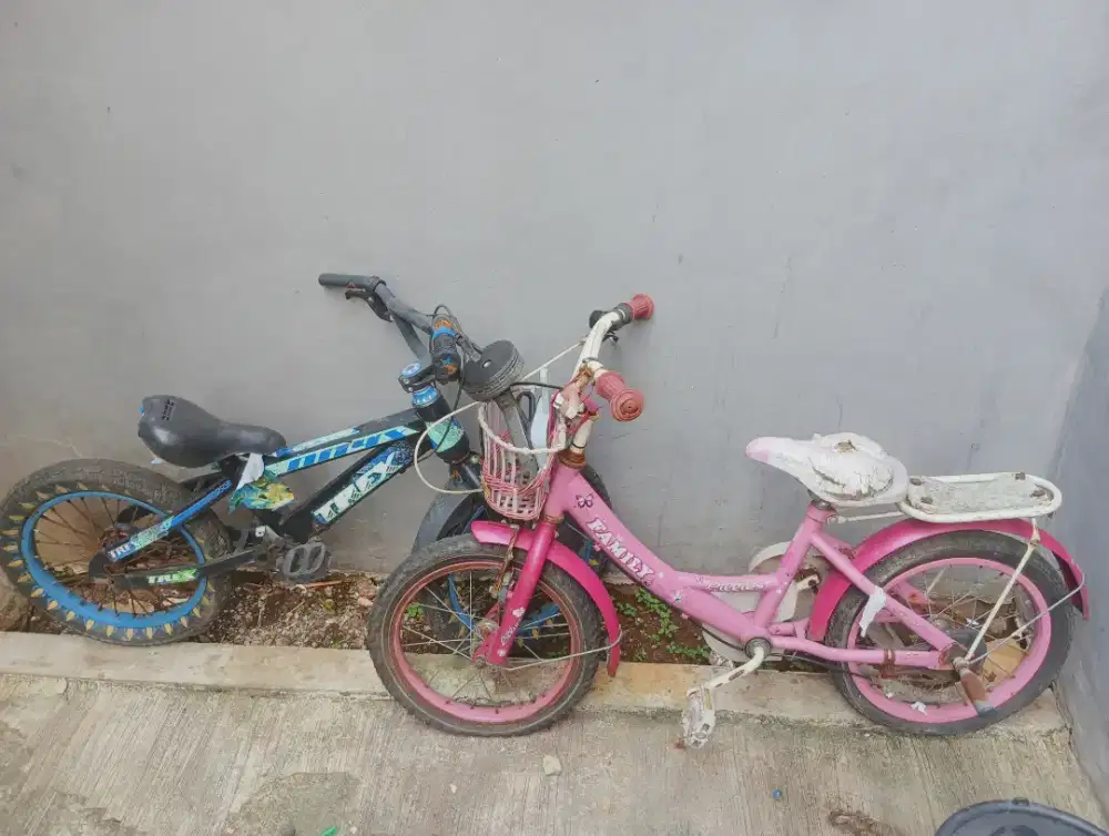 Dua sepeda anak cewek dan cowok 20 inci