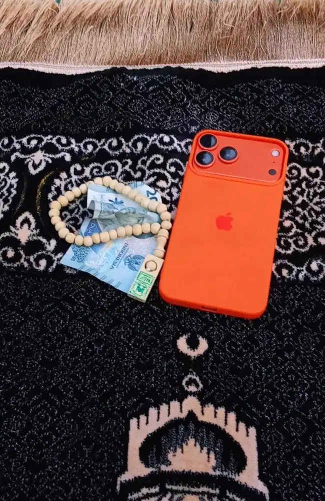 iphone XS MAX upgraded 17 promax