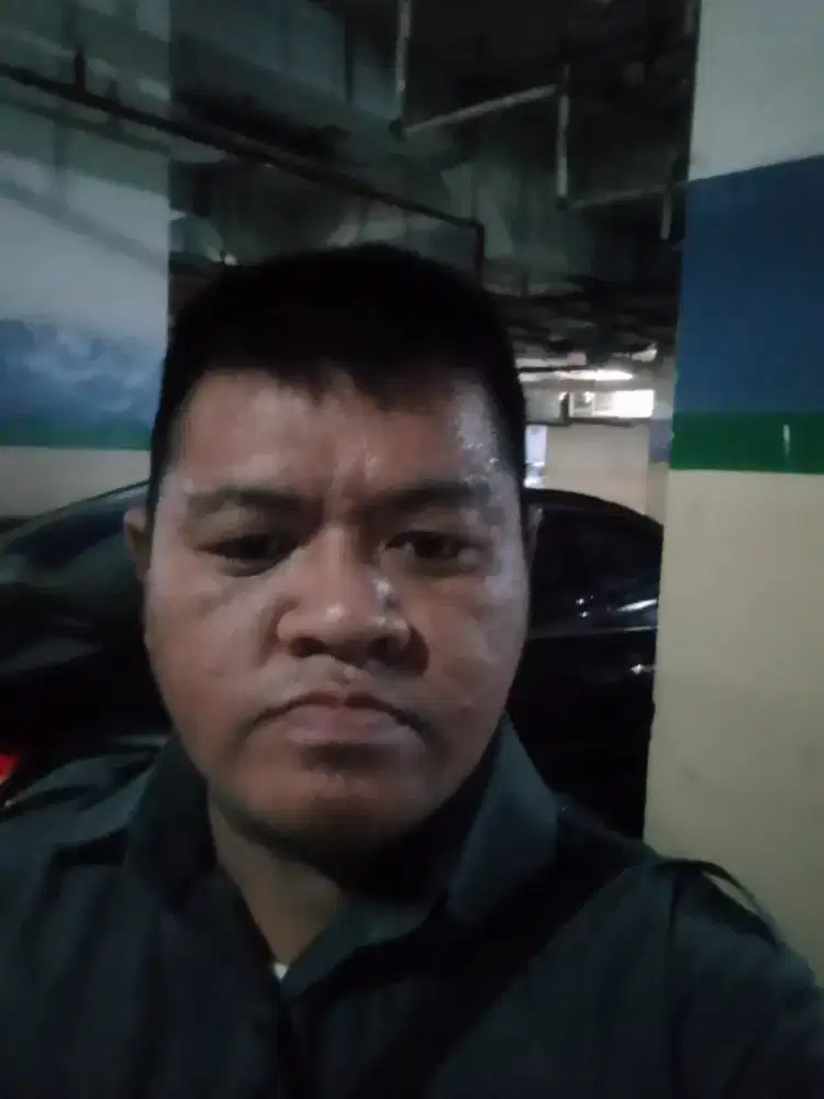 Supir pribadi rumah tangga