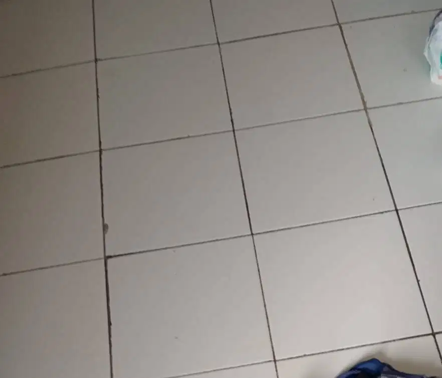 Cari Pembantu rumah tangga