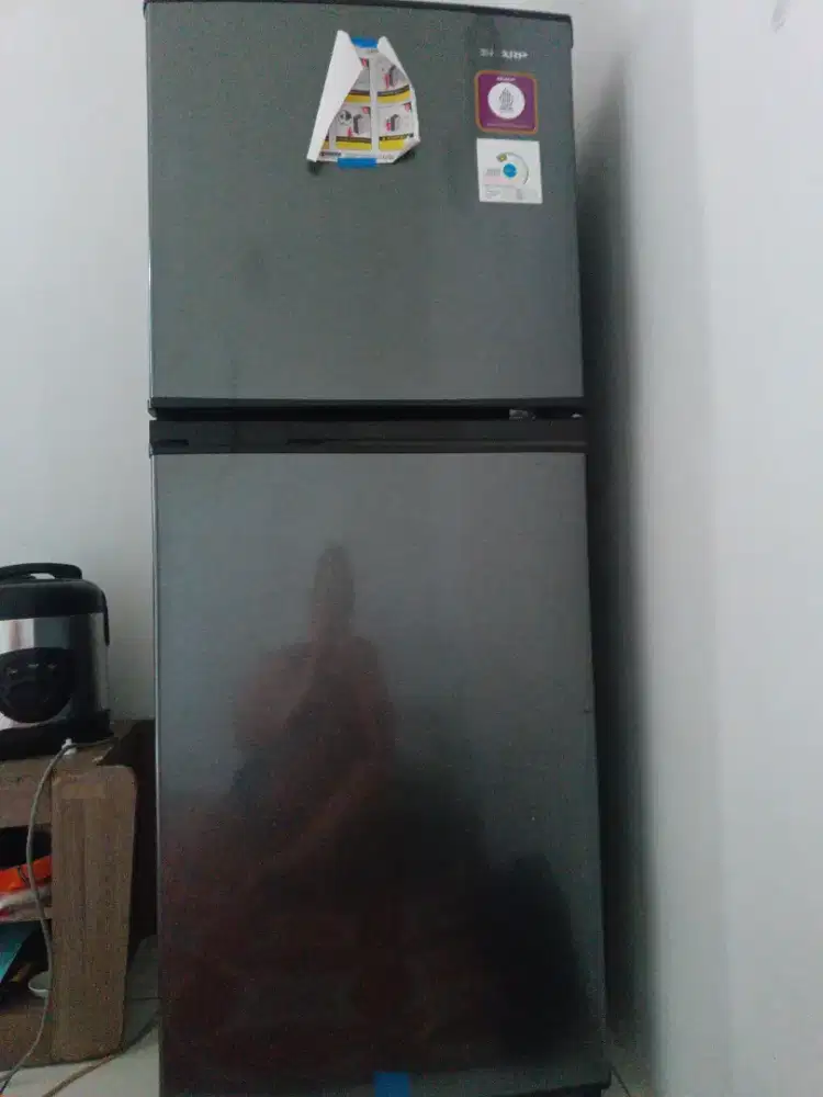 Kulkas Sharp 2 Pintu