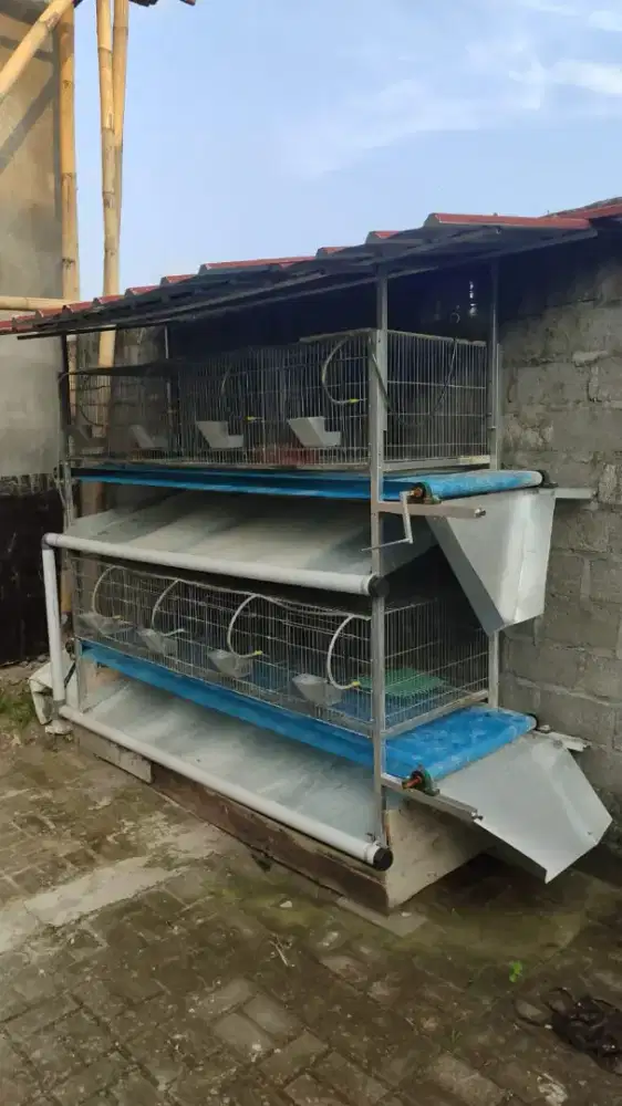 Kandang Kelinci Tingkat dengan Konveyor