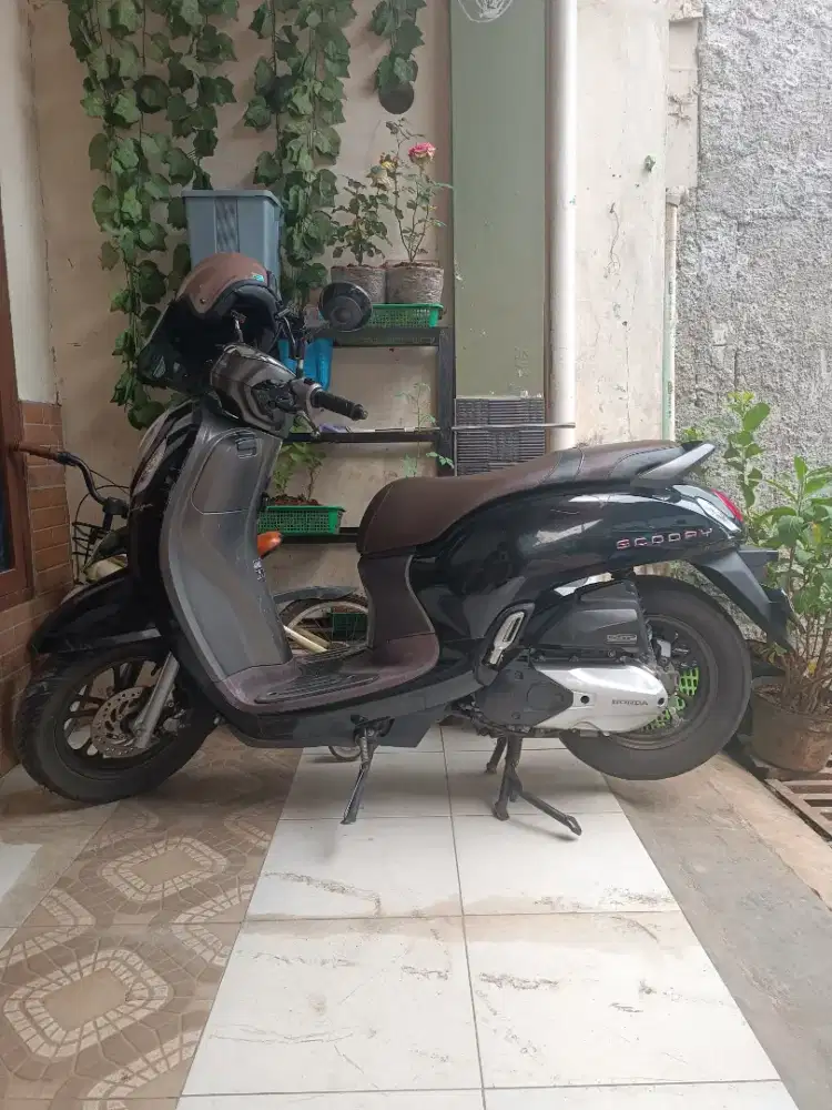 SCOOPY PRISTAGE 2022