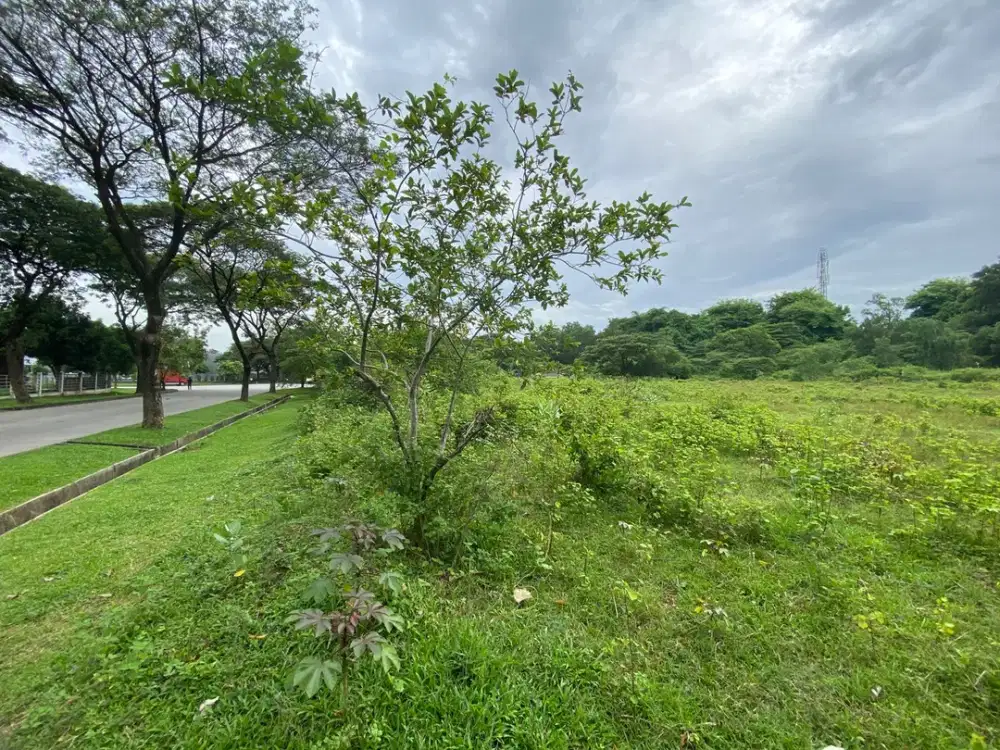Di jual lahan luas 6000 di lippo cikarang dalam kawasan industri