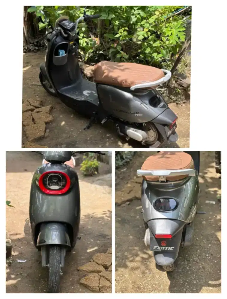 Exotic Varilux Pro