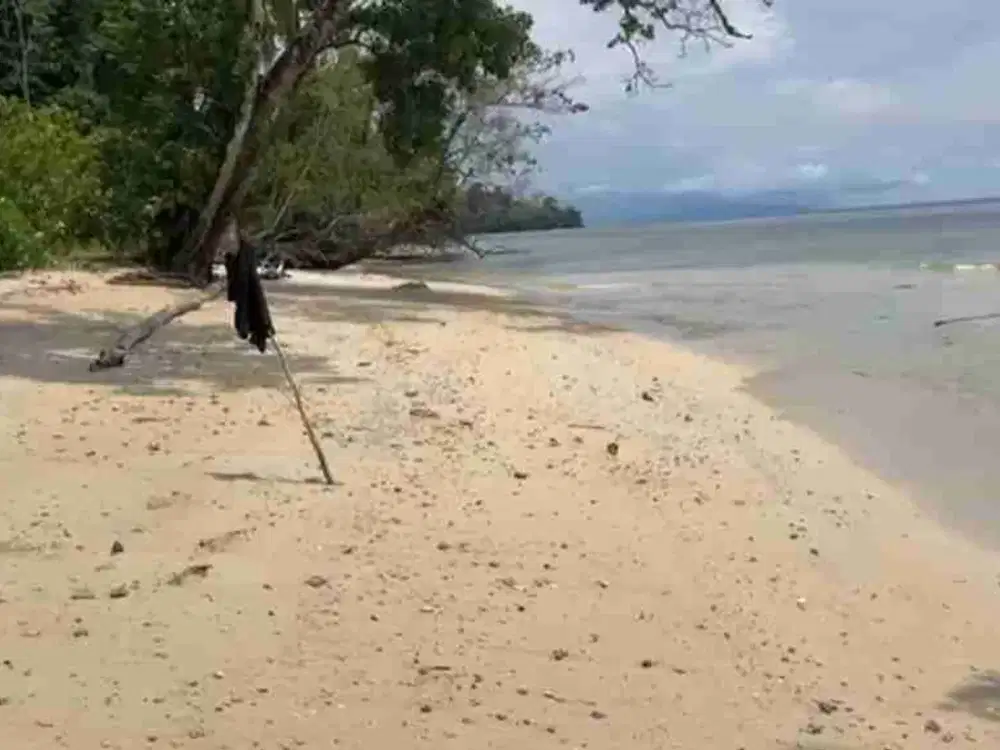Jual Tanah 4 Hektar di Raja Ampat,Waesai Pinggir Laut