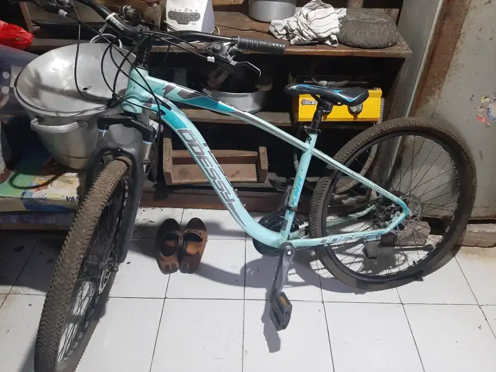 Sepeda gunung bmx