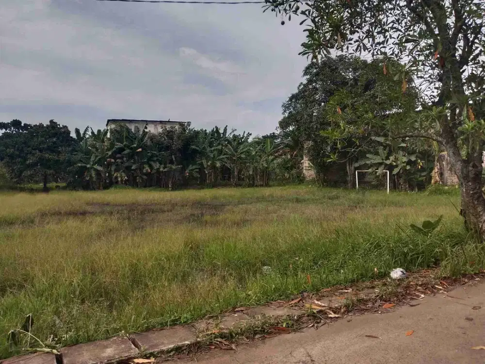 tanah pinggir jalan.