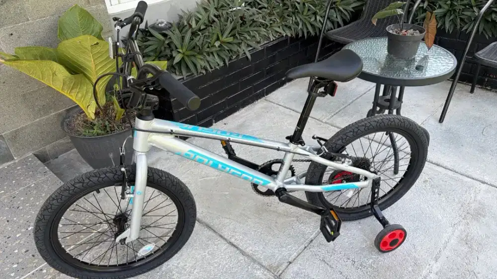 SEPEDA ANAK POLYGON ROGUE