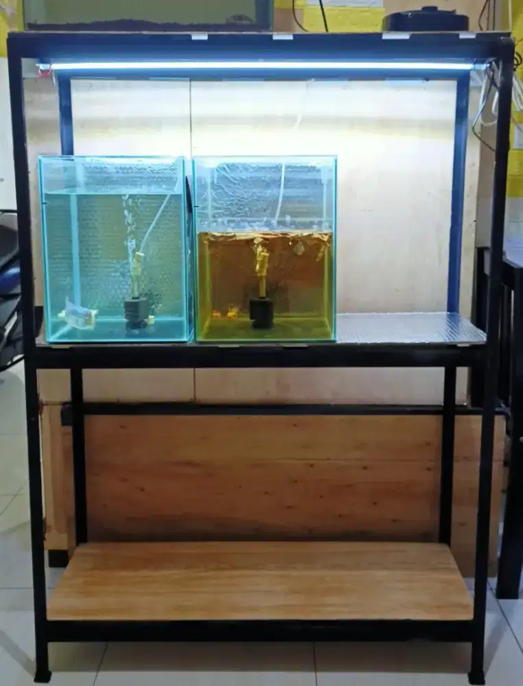 rak aquarium ikan