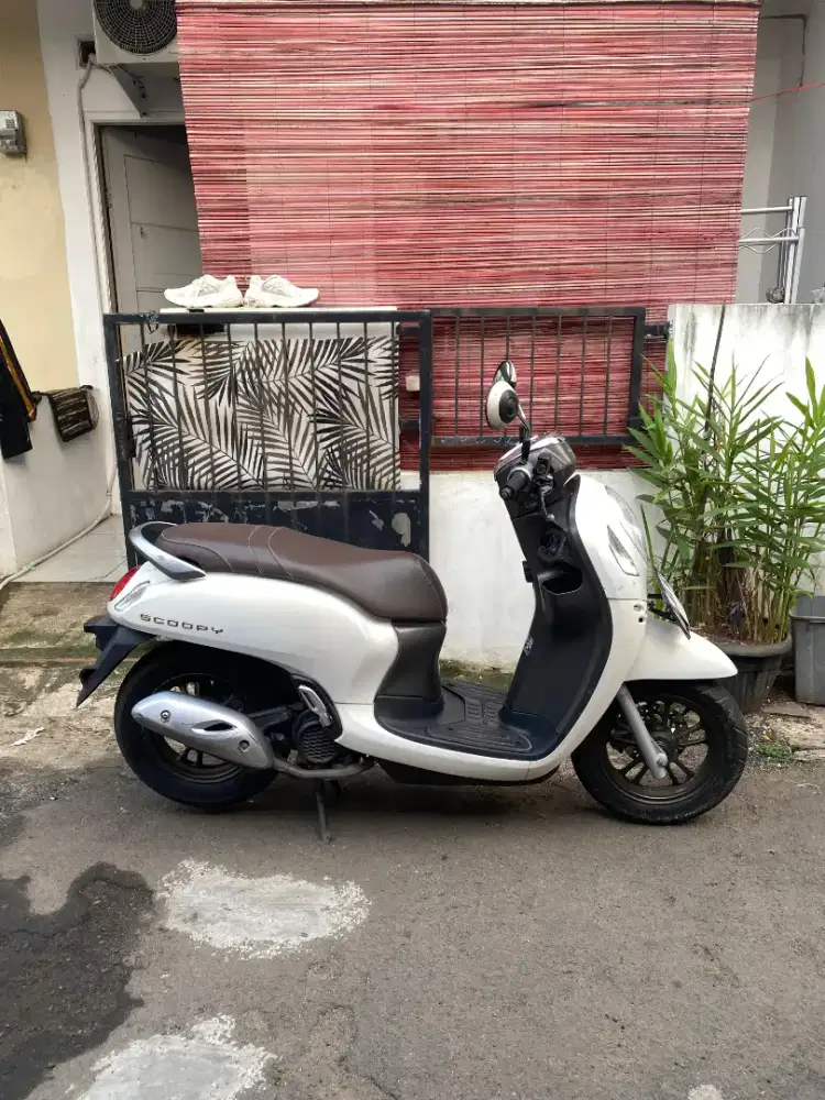 Scoopy keyless 2022
