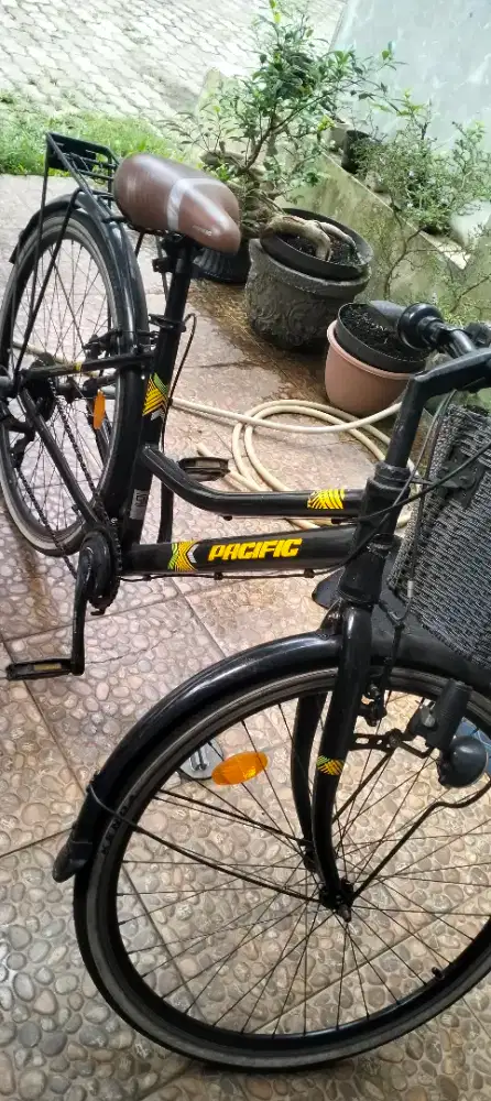 Sepeda keranjang