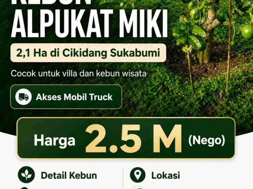 Kebun Alpukat Dijual Cikidang Sukabumi Akses Mobil