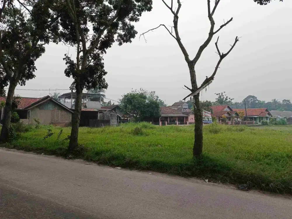 Dijual Tanah Rangkasbitung Pinggir Jalan Raya Murah