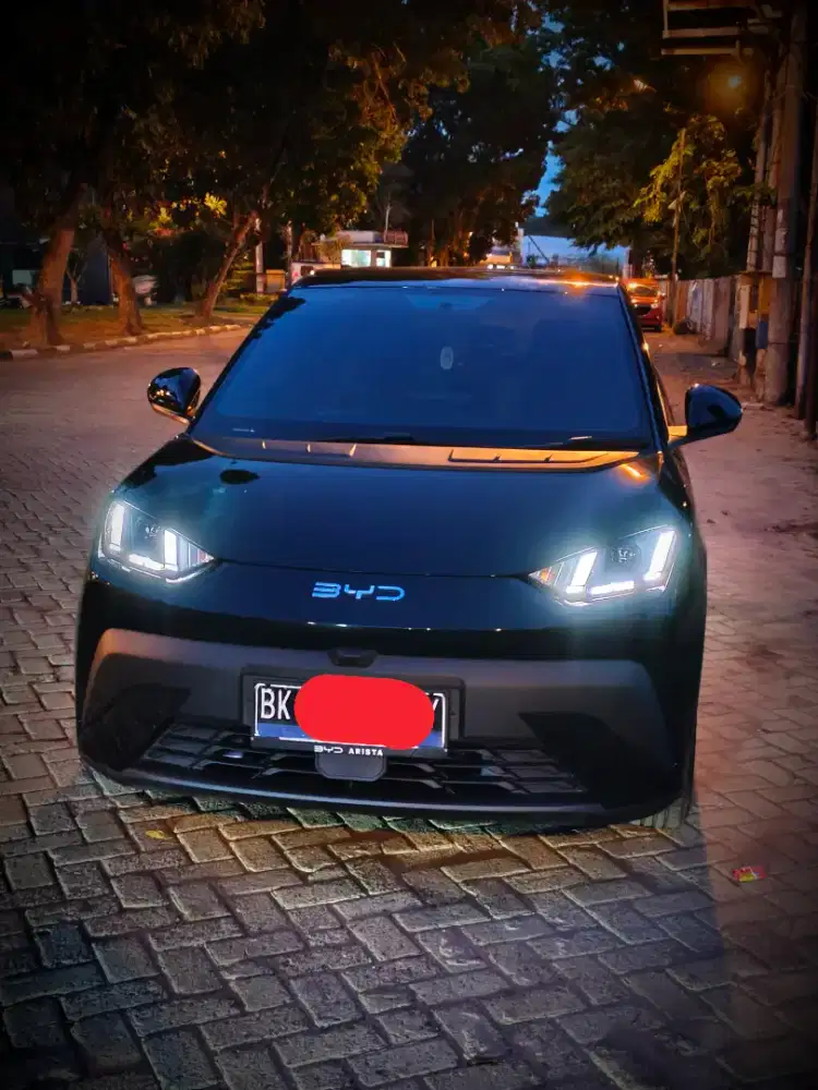 Byd atto 1 dynamic 2026