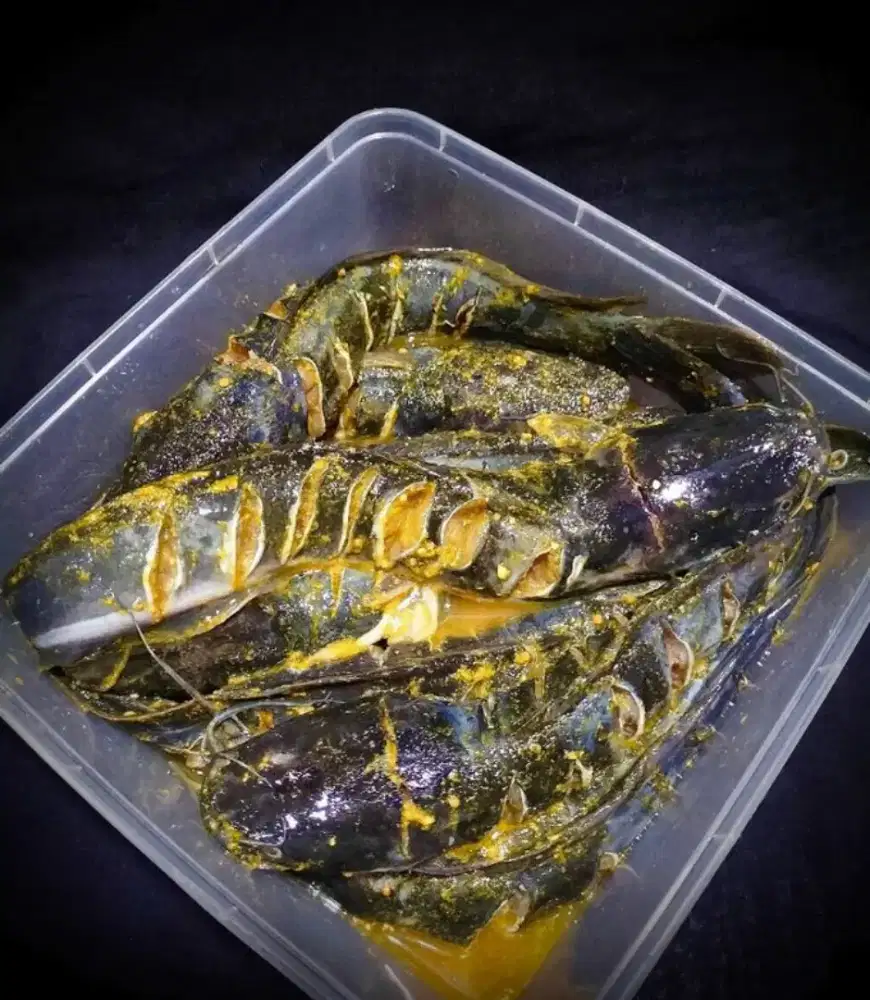 Jual ikan lele marinasi